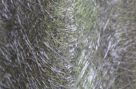 Rhydroser fibreglass roof work